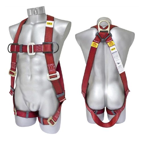 ARNES DE SEGURIDAD LICA